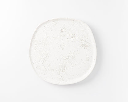White ceramic plate with subtle brown speckled pattern on a white background