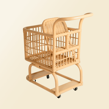 Kids Shopping Cart