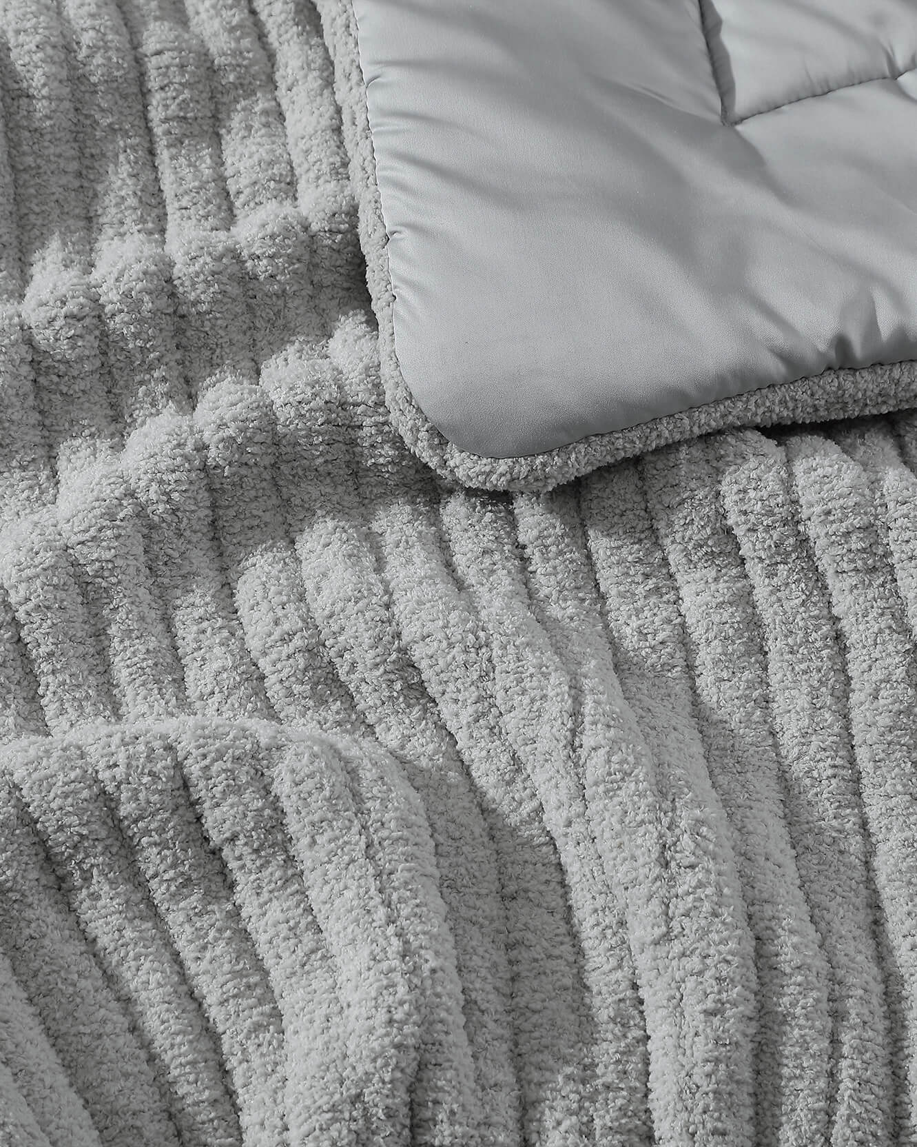 Snug Piped Comforter Sunday Citizen