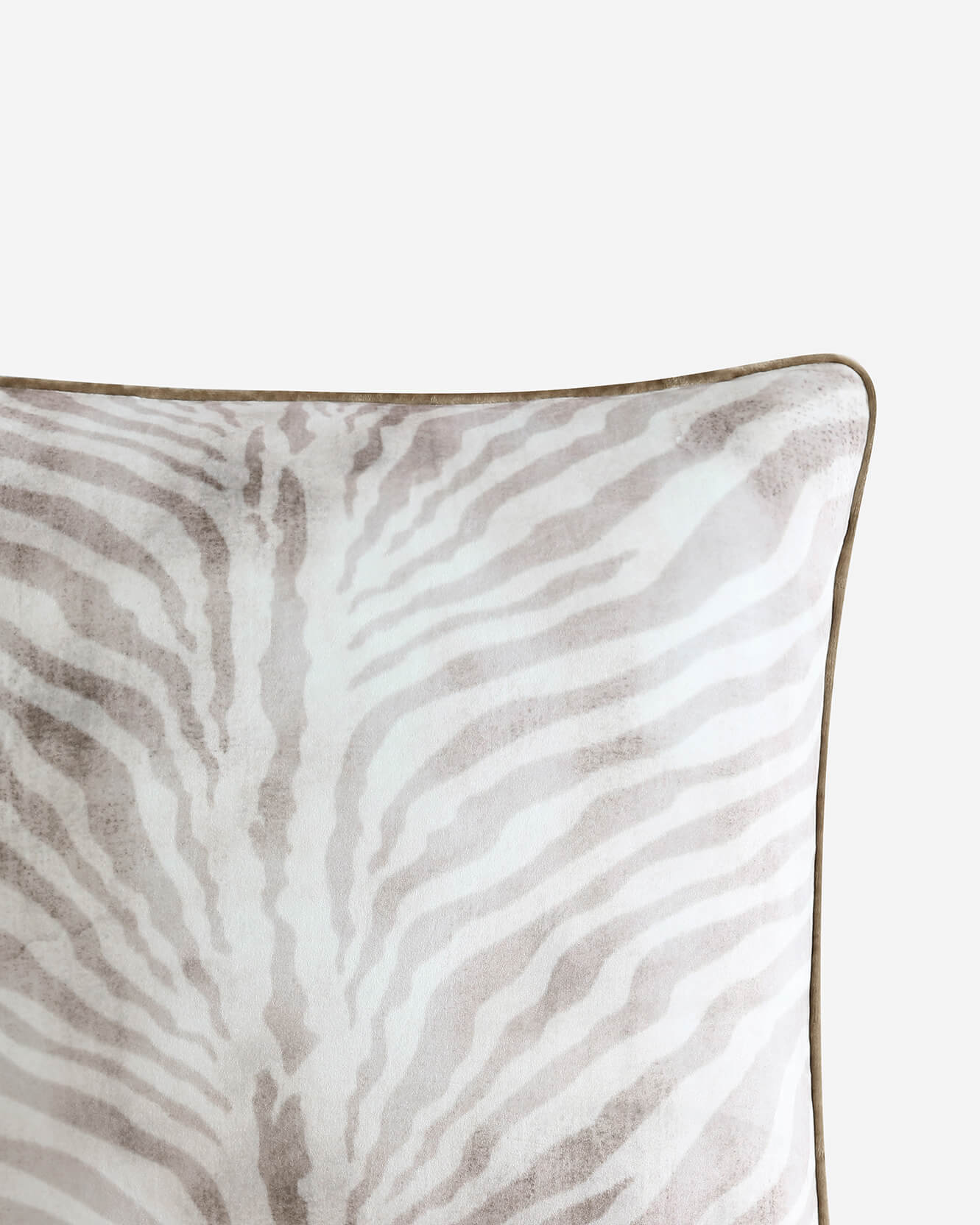 Zebra Throw Pillow | Last Chance