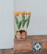 Vasanta Petals Planter with Drainage - Terracotta - Fluent Trends