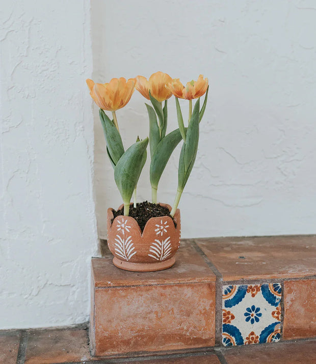 Vasanta Petals Planter with Drainage - Terracotta - Fluent Trends
