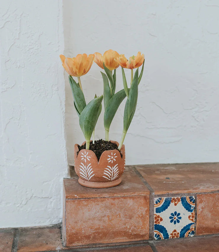 Vasanta Petals Planter with Drainage - Terracotta - Fluent Trends