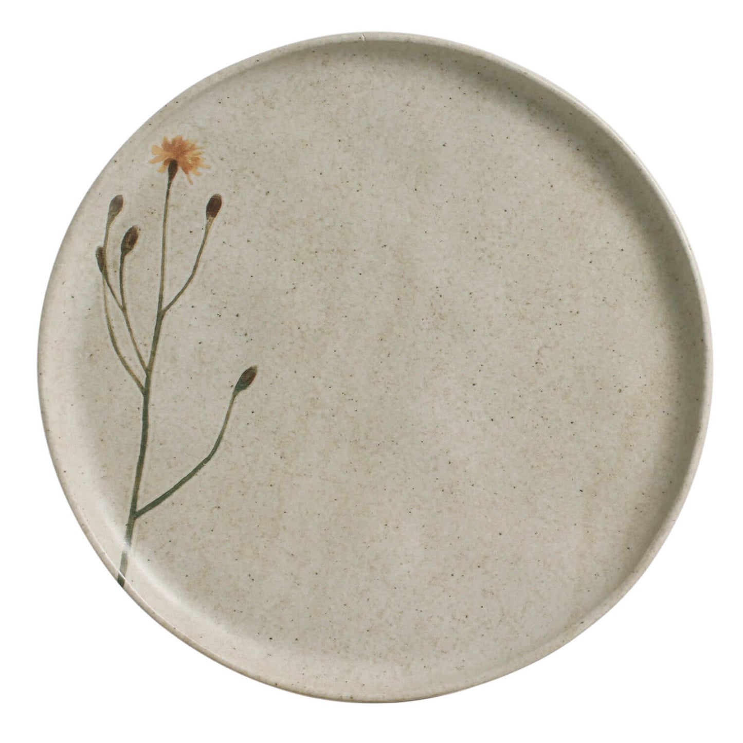 20 Pc. Dinnerware Set