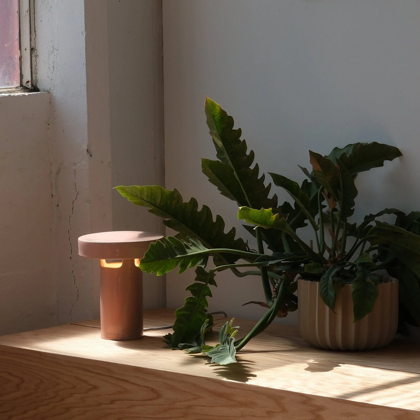 Pink ceramic slot table lamp casting warm glow on wood floor beside lush green tropical plants near window

