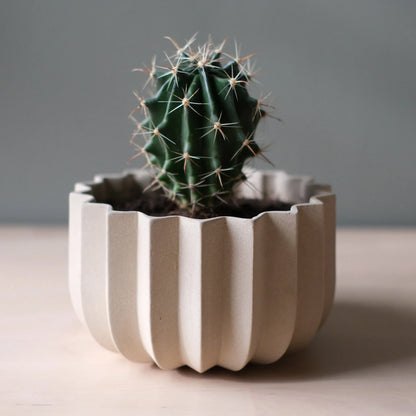 Dune Wrap Planter with barrel cactus on light wood surface showing sculptural ridge detail