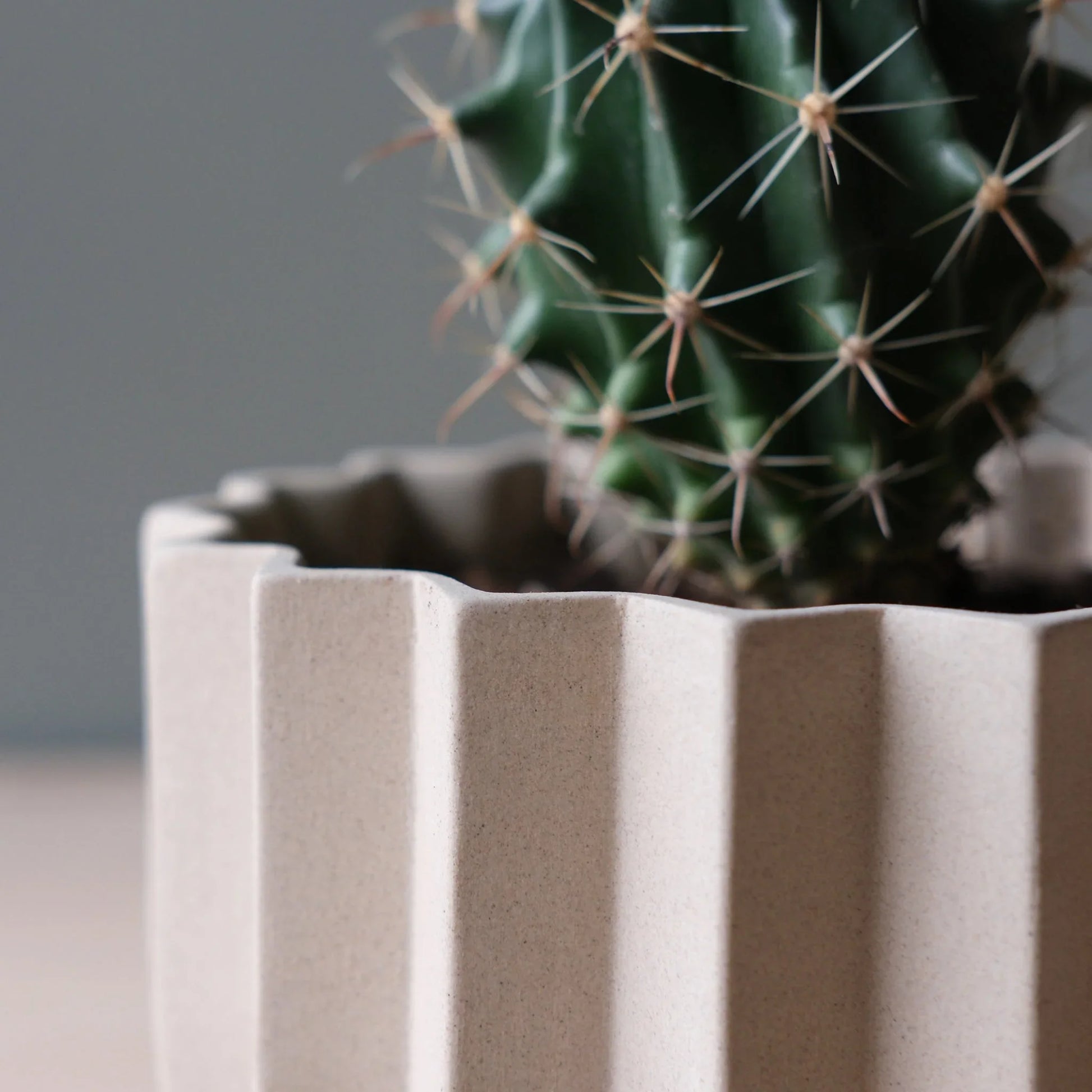Close-up of Dune Wrap Planter sculptural vertical ridge detail with barrel cactus against gray wall

