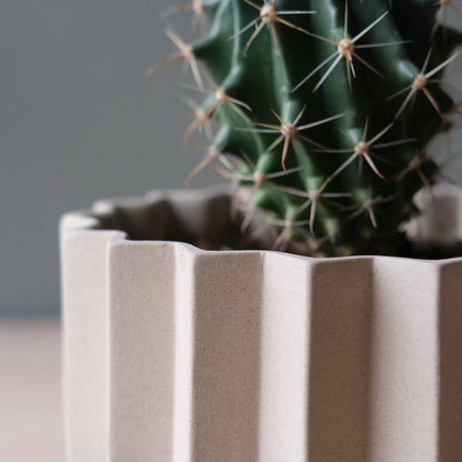Close-up of Dune Wrap Planter sculptural vertical ridge detail with barrel cactus against gray wall

