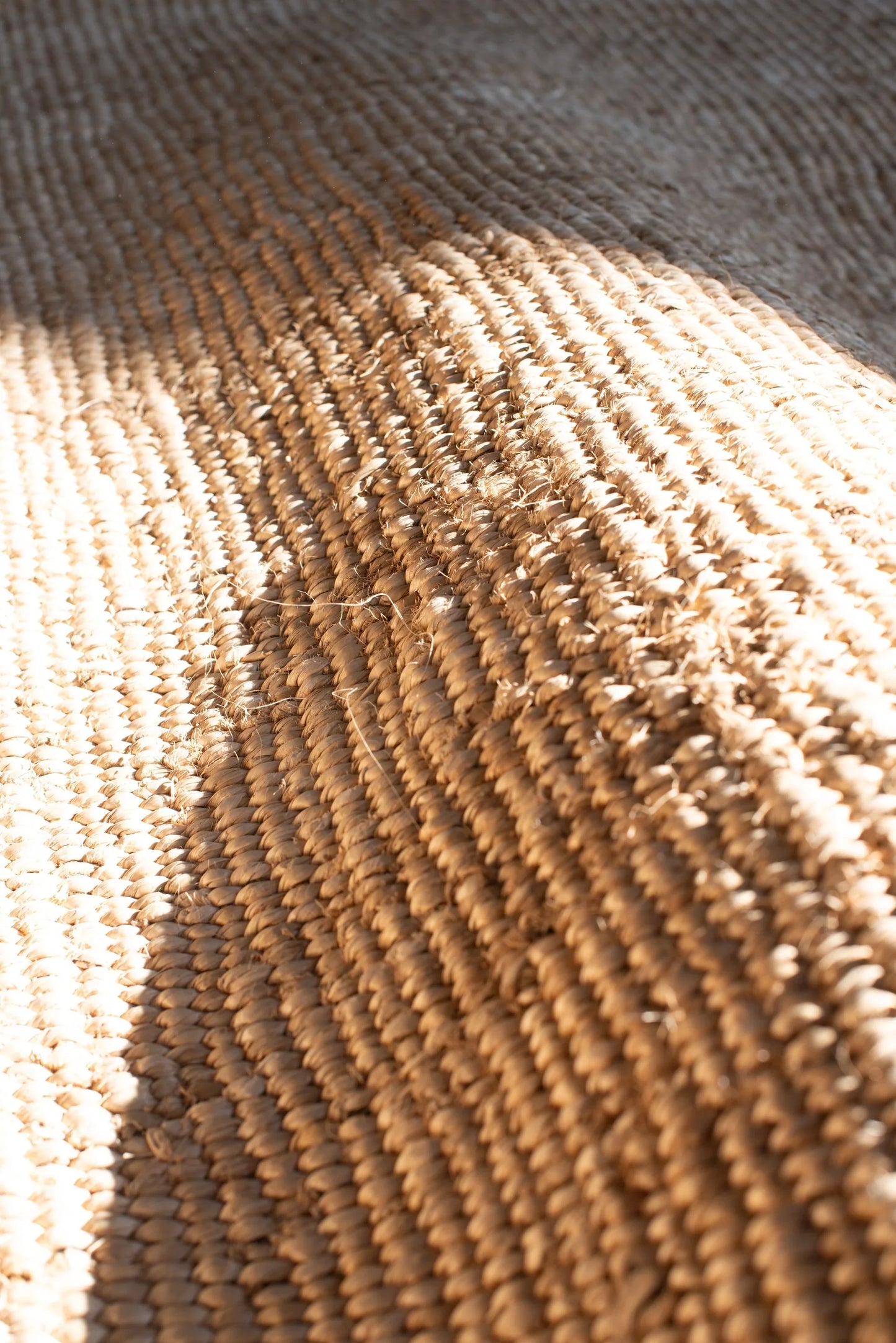 Extreme close-up of handwoven natural sisal rug surface showing tightly woven fiber bundles honey amber tone and weave texture detail