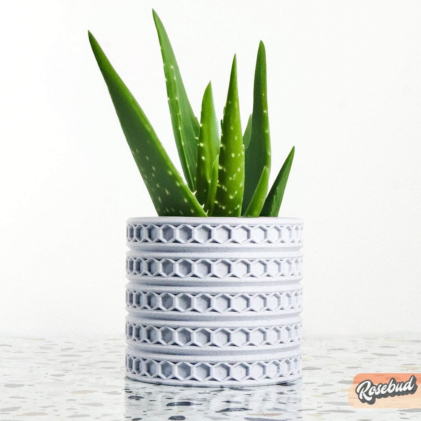 Orion hexagonal plant pot in White, eco-friendly indoor planter with aloe vera on a white background