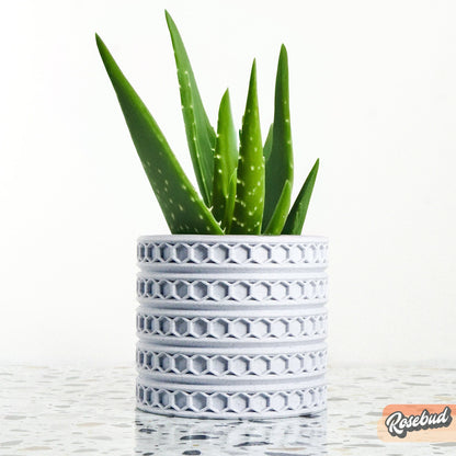 Orion hexagonal plant pot in White, eco-friendly indoor planter with aloe vera on a white background