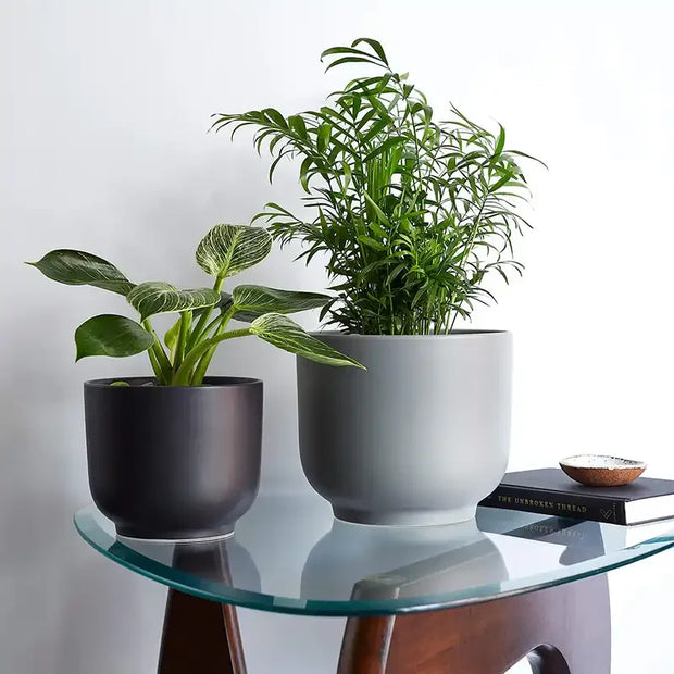 Bell Planter - Fluent Trends Bell Planter