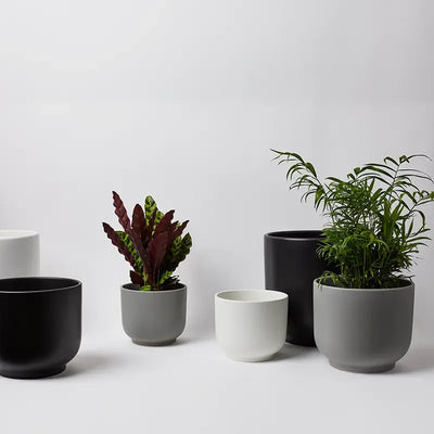 Bell Planter - Fluent Trends Bell Planter