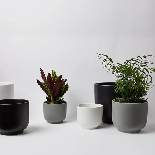 Bell Planter - Fluent Trends Bell Planter