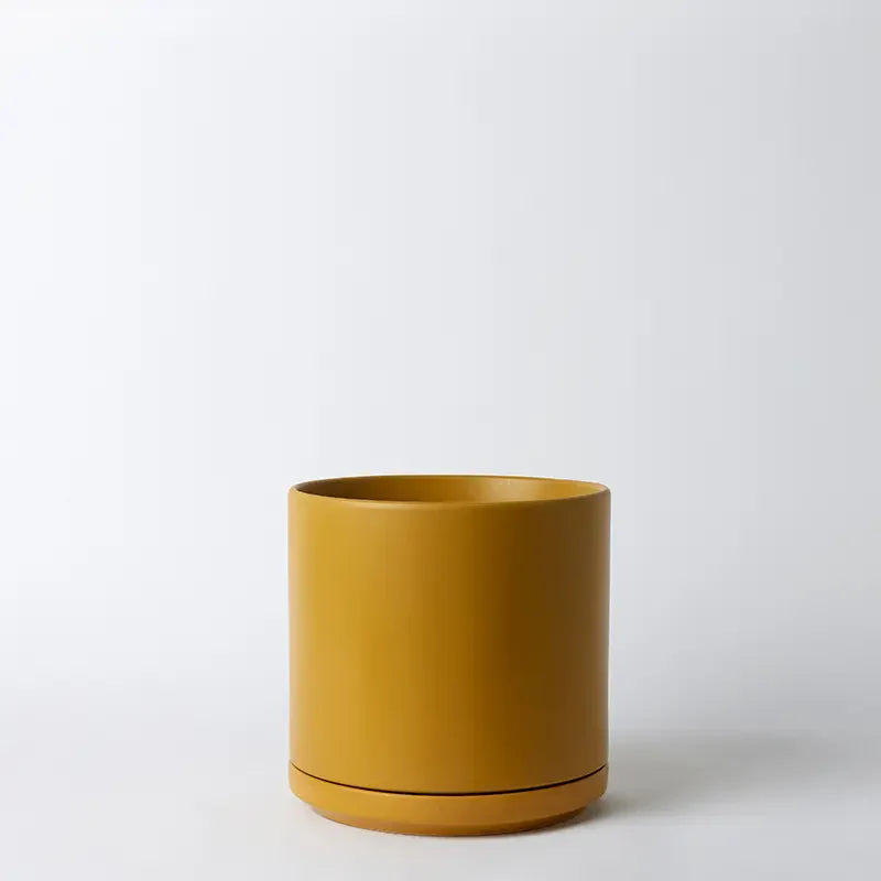 Solid Goods - Ceramic Cylinder with Saucer - Fluent Trends