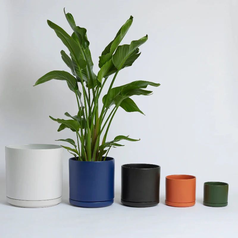 Solid Goods - Ceramic Cylinder with Saucer - Fluent Trends
