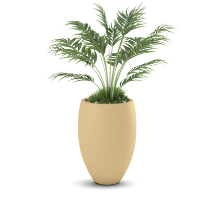Brandy Planter
