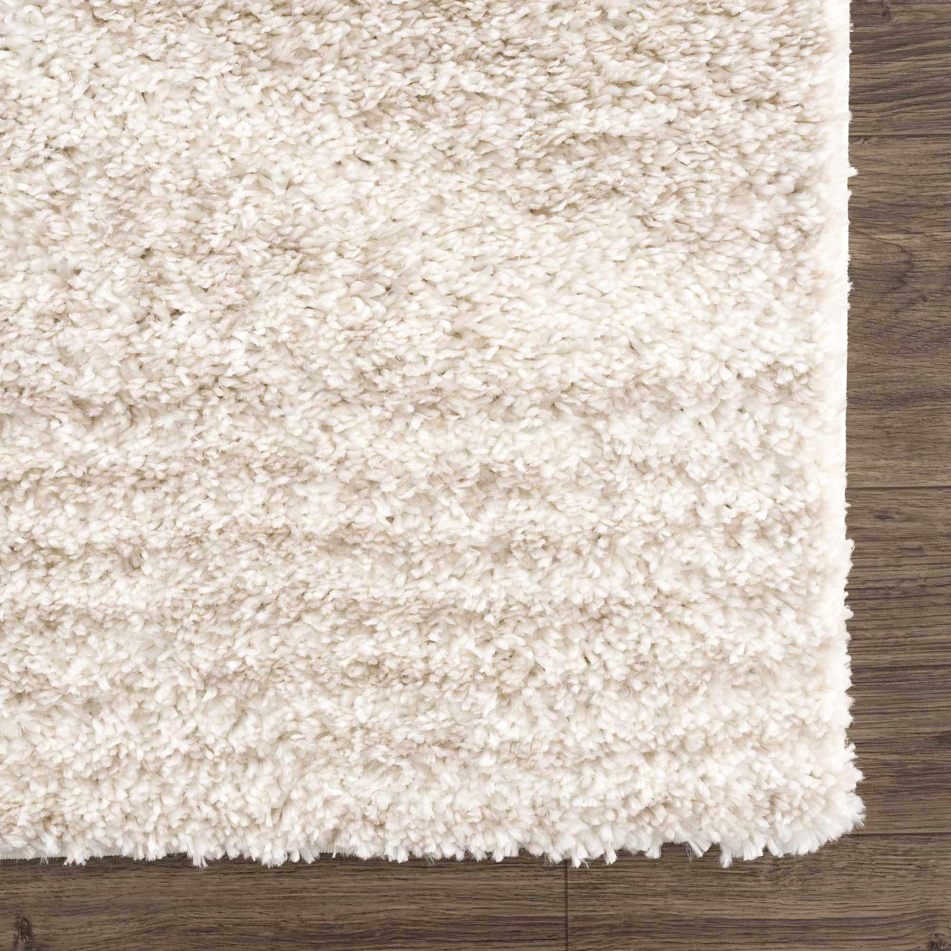 Plush Beige Shag Rug Corner Top View on Hardwood Floor Showing Full Pile Texture | Fluent Trends